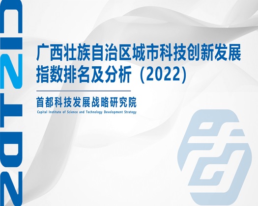 性感美女被鸡巴操喷水在线看污【成果发布】广西壮族自治区城市科技创新发展指数排名及分析（2022）